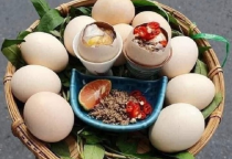 Cung cấp lòng đỏ trứng muối, trứng bắc thảo ở Bình Chánh TPHCM