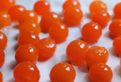 Cung cấp lòng đỏ trứng muối, trứng bắc thảo ở Bến Tre
