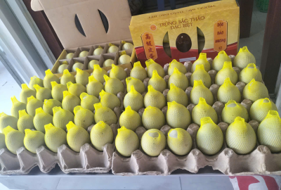 Cung cấp lòng đỏ trứng muối, trứng bắc thảo ở Cần Giờ TPHCM